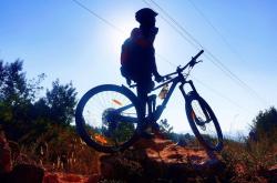 lol高校认证-自行车选手挥洒汗水，骑行迎风的简单介绍