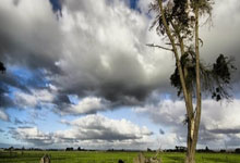 lol战绩查询-瑞典血洗荷兰，乔瓦尼·雷纳绝境逆转：足球背后的奇迹与传奇