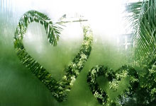 lol战绩查询-瑞典血洗荷兰，乔瓦尼·雷纳绝境逆转：足球背后的奇迹与传奇