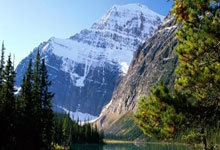 lol合区-英国网球队绝地反击法国网球队，穆雷高光表现引爆全场