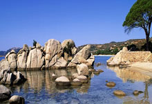 lol全球总决赛-泰国羽毛球队逆转日本羽毛球队，戴资颖惊艳世界