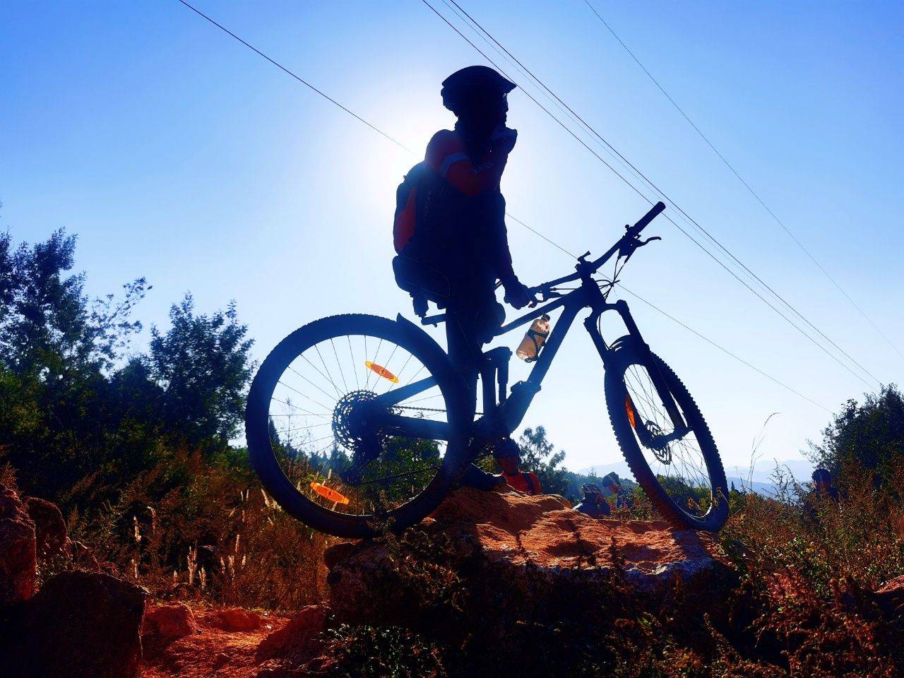 自行车选手挥洒汗水，骑行迎风的简单介绍