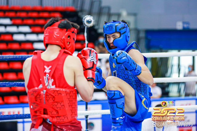 波斯尼亚和黑塞哥维那队成功晋级，备受瞩目地将在一个国际足球盛典中竞逐的简单介绍