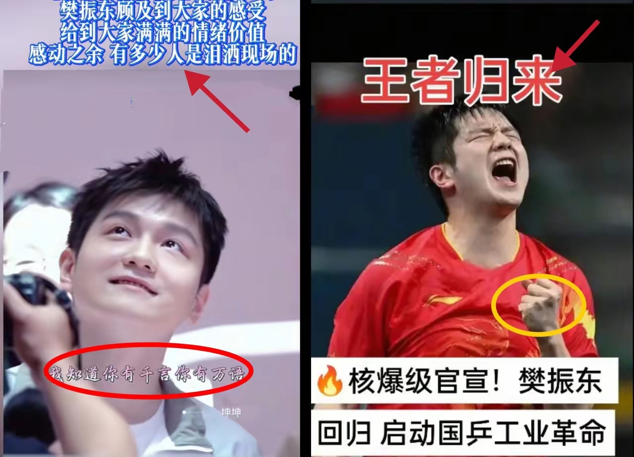 中国乒乓球队绝地反击波兰乒乓球队，樊振东送出助攻的简单介绍