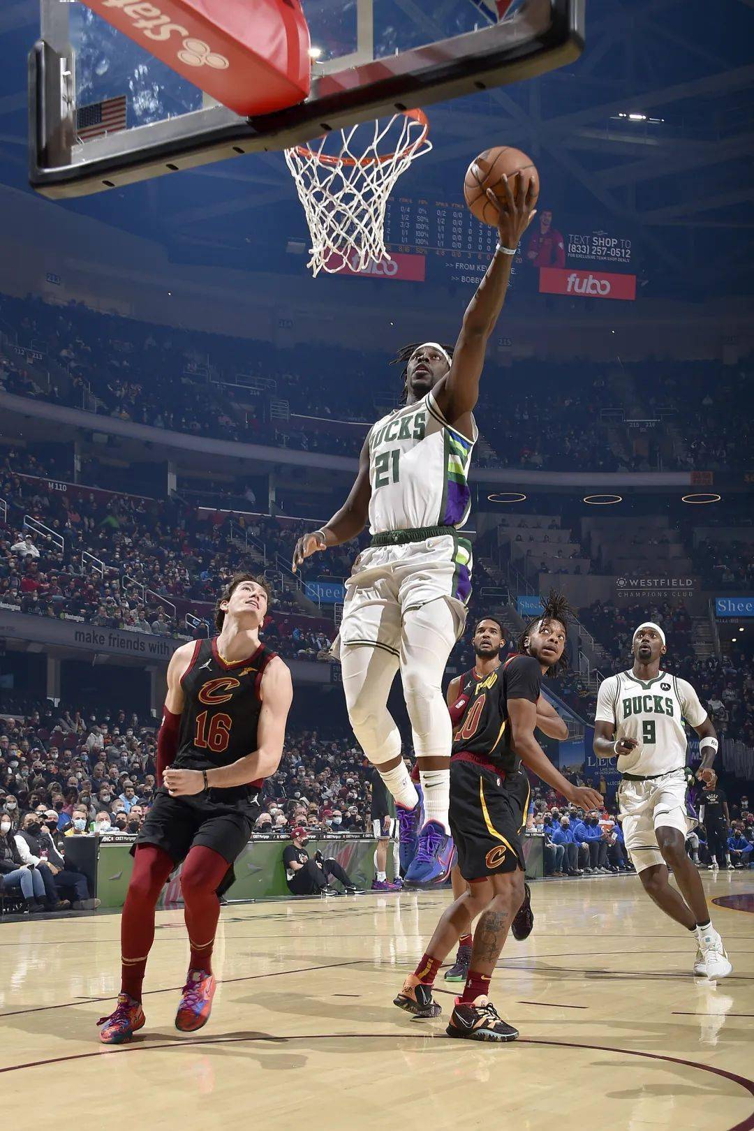 雄鹿碾压辽宁队,克莱高光表现 雄鹿碾压辽宁队,克莱高光表现